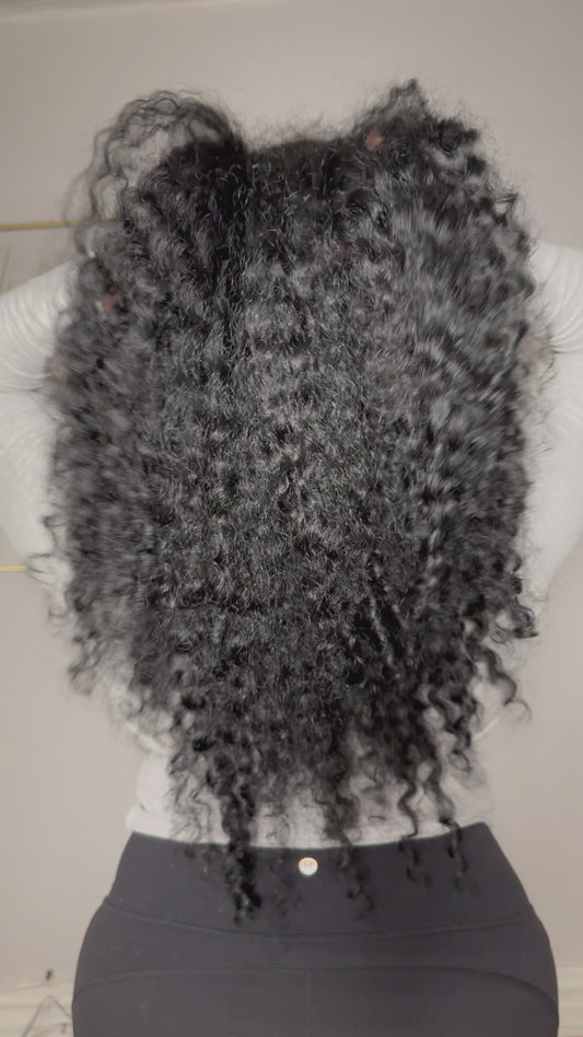 Burmese Wavy/Curly .